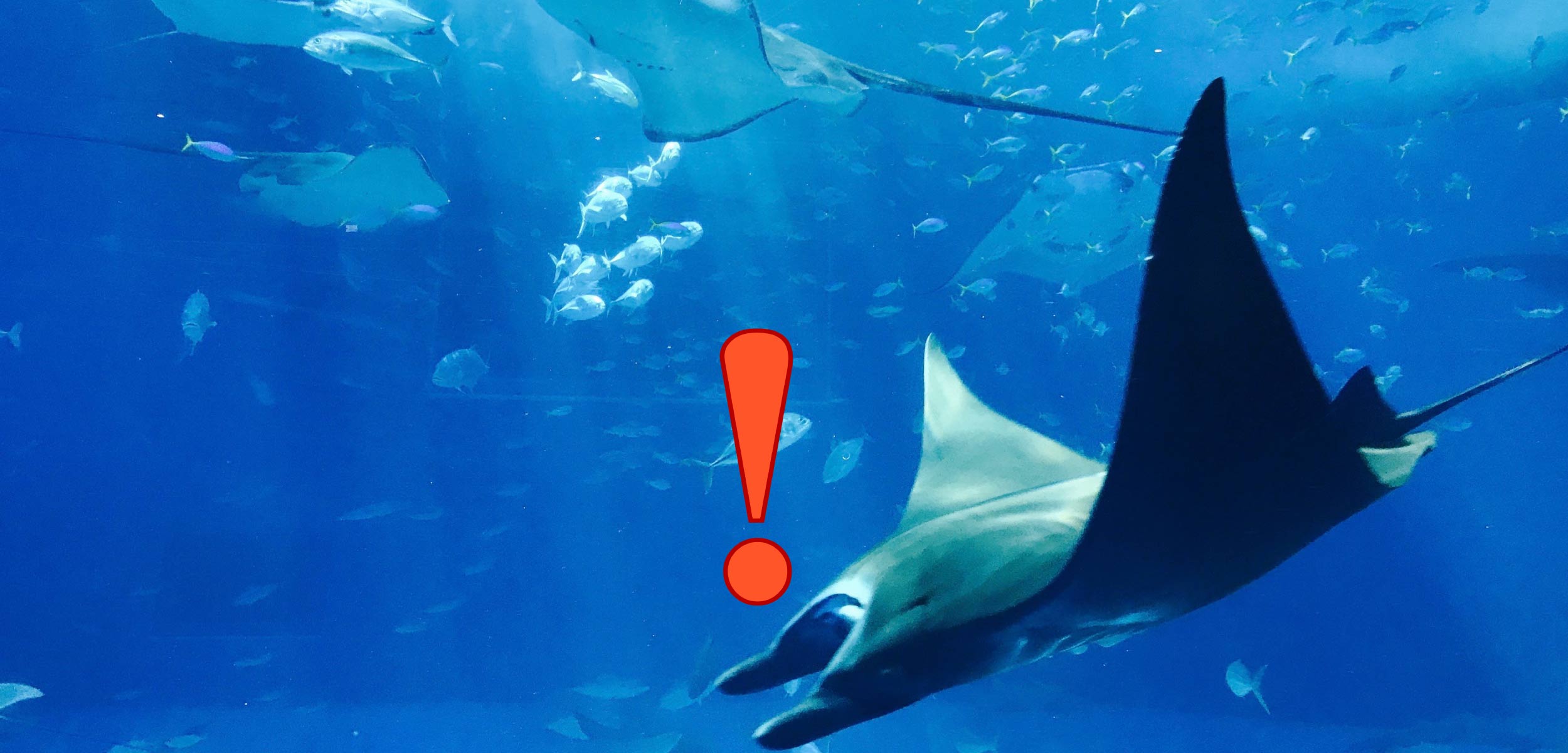 2 Quick Layering Steps to Prevent Leather from Cracking IGL Coatings Blog