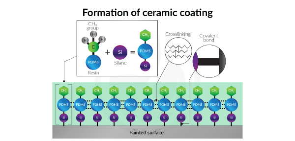 The Science Behind Ceramic Coating: How it Works and Its Benefits.