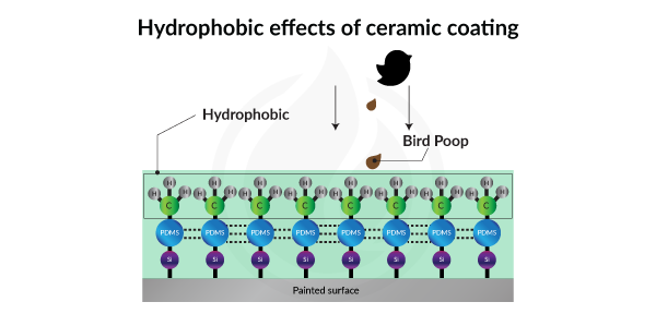 The Science Behind Ceramic Coating: How it Works and Its Benefits.