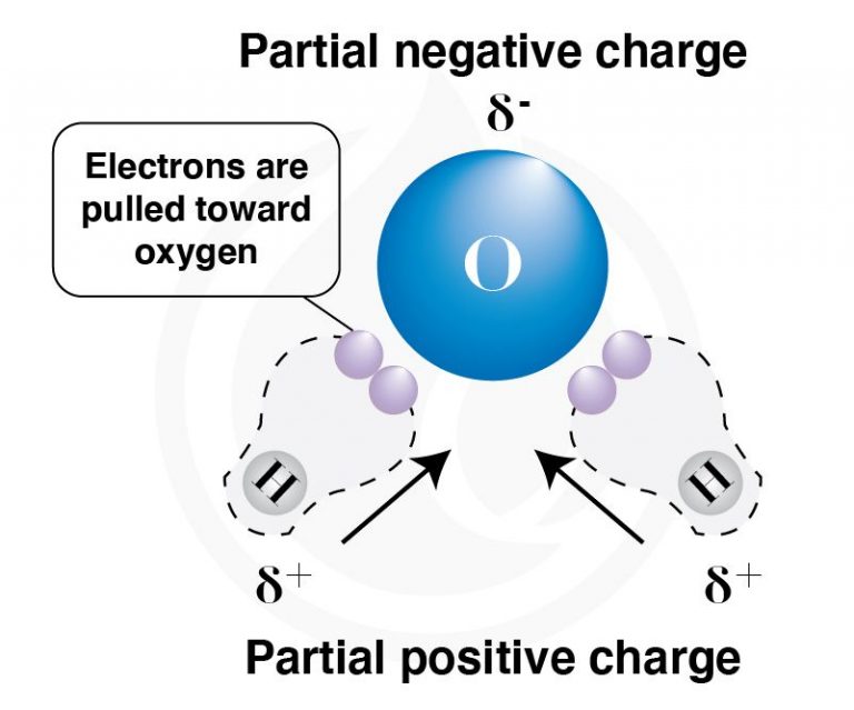 The Science of Hydrophobicity IGL Coatings Blog