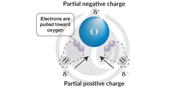 the-science-of-hydrophobicity-igl-coatings-blog