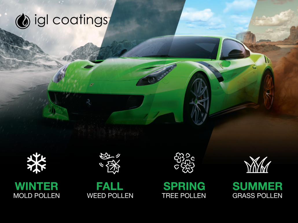 The four sorts of pollen that will contaminate your car
